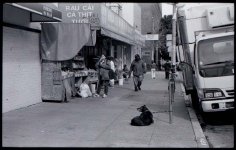 dogstreetsmall.jpg