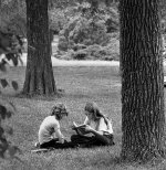 Reading in the Park.jpg