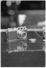 1000 Leica IIf 90mm TE f2,8.jpg