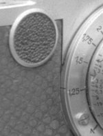 crop Leica IIf #2 90mm TE f2,8.jpg