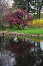 Spring at Baxters 2006.jpg