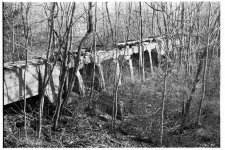 trestle.jpg