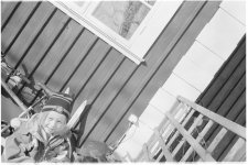 fp4rodinal.jpg