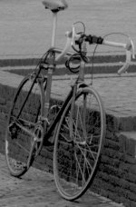 50mm test Quinon f8 #2.jpg