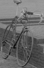 50mm test Summicron f8 #2.jpg