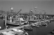 Santa-Barbara-4-06-v2-fuji.jpg