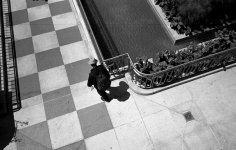 img805 adj1.jpg