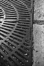 sidewalkgrate.jpg