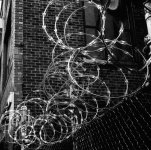 Wire.JPG