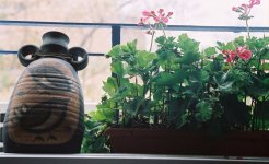 Vase_Ger_F1000005.jpg