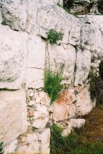 Stones_Nr_JaffaGate_F1000022.jpg