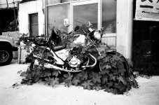 Korean Iron--now a flower pot.jpg