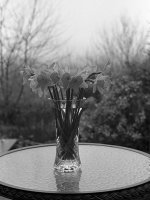 elmar_f5.6.jpg
