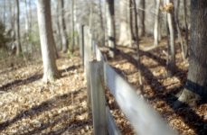 FENCE1.JPG
