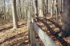 FENCE2.JPG