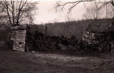 The Slow Return to Elements.jpg