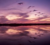 RFF Critique Session 44.jpg