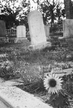 4-18-2006-03bweb.jpg