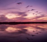 RFF Critique Session 44 (large).jpg