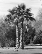 Web N8008s w 80 200 2.8 2 scanned in color 2.jpg