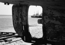 Boats.jpg
