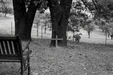 L1000380.jpg