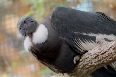 F5 WG200 500P 30.jpg