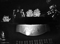 Midnight swim-0001.jpg