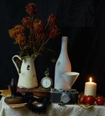 still life d7000 1685.jpg