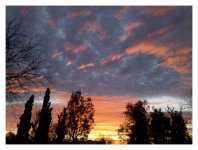 2010-01-24 17.22.59a.jpg