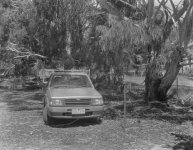 Ute xray stitched lr.jpg