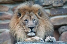 F5 WG200 500P 26.jpg