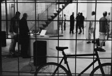 bicycles2.jpg