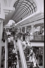 Mmall_F1000016.jpg