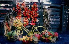 Fall Gatlinburg 09.jpg