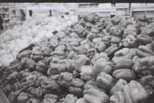 Peppers_F1000019.jpg