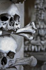 kutnahora.jpg