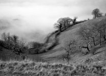 Frocester Hill fog.jpg