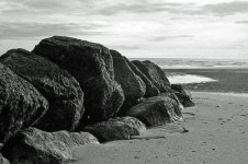img146_edited-1.jpg
