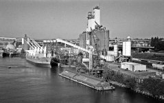 Bunge Grain F.jpg