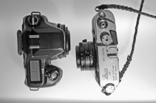 _IGP1739.jpg