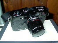 CAMERA 028.jpg