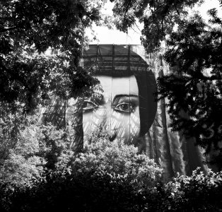 _SDI1484 copy.jpeg