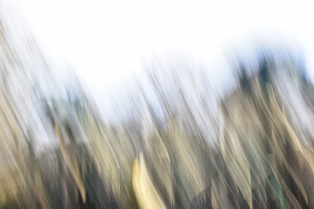 Motion 36.jpg