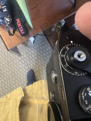 IMG_6831.jpeg