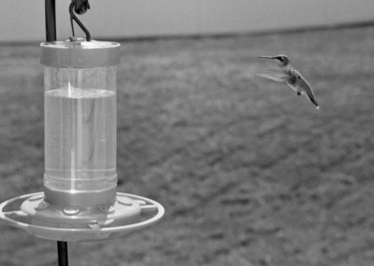 zoom 2 tiff 16bit.jpeg