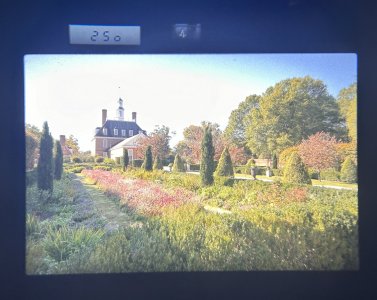 IMG_3533.jpeg