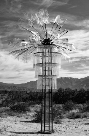 2024-03 desert surprise.jpg