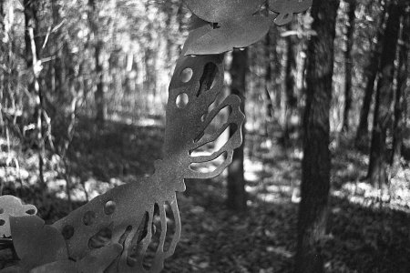IMG_2024-11-11-214044.jpeg