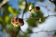IMG_0631--700.jpg